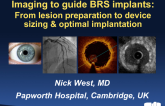 Imaging to Guide BRS Implantation: Current Status, From Lesion Preparation to Device Sizing and Optimal Implantation