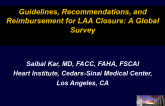 Guidelines, Recommendations, and Reimbursement for LAA Closure: A Global Survey