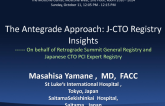 The Antegrade Approach: J-CTO Registry Insights