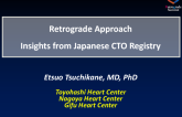 The Retrograde Approach: J-CTO Registry Insights