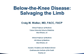 Below-the-Knee Disease: Salvaging the Limb