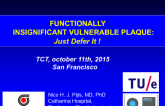 Functionally Insignificant Vulnerable Plaque: Just Defer It!