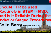 Should FFR Be Used Routinely in STEMI Patients With Multivessel Disease, and Is It Reliable During the Index and/or Staged Procedures?