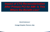 Impact of CTO Revascularization After Primary PCI for AMI: Is This Where the Benefit Lies?