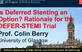Is Deferred Stenting an Option? Rationale for the DEFER-STEMI Trial