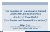 The Spectrum of Hemodynamic Support Options for Cardiogenic Shock II: Are Any of Them Useful (Data Review and Personal Perspectives)?