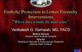 Embolic Protection in Lower-Extremity Intervention: Where Does It Make the Most Sense?
