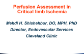 Perfusion Assessment in Critical Limb Ischemia in 2015