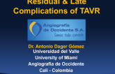 Late Applications in TAVR