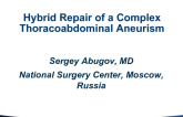 Hybrid Repair of a Complex Thoracoabdominal Aneurysm