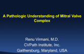 A Pathologic Understanding of the Mitral Valve Complex