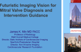 A Futuristic Imaging Vision for Mitral Valve Diagnosis and Intervention Guidance