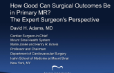 How Good Can Surgical Outcomes Be in Primary MR? The Expert Surgeons Perspective