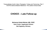 Other Important TAVR Studies 3: CHOICE  Late Follow-up