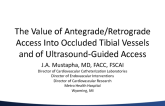 The Value of Antegrade/Retrograde Access and of Ultrasound-Guided Access Into Occluded Tibial Vessels