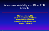 Adenosine Variability and Other FFR Artifacts