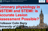 Intracoronary Physiology in NSTEMI and STEMI: Is Accurate Lesion Assessment Possible?