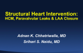 Structural Intervention: LAA Closure, HOCM, and Paravalvular Leak