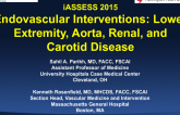 Endovascular Interventions: Lower-Extremity, Aorta, Renal, and Carotid Disease