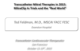 Transcatheter Mitral Therapies in 2015: MitraClip in Trials and the Real World