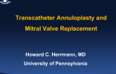 Transcatheter Annuloplasty and Mitral Valve Replacement: Emerging Therapeutic Options
