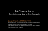 Transpericardial LAA Closure With Lariat Step-by-Step