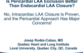 Debate: Is Pericardial LAA Exclusion Better Than Endocardial LAA Closure? No, Intracardiac LAA Closure Is Proven, and the Pericardial Approach Has Major Concerns!