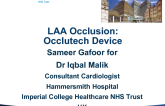 Occlutech LAA Occluder