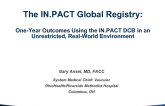 The IN.PACT Global Registry: One-Year Outcomes Using the IN.PACT DCB in an Unrestricted, Real-World Environment