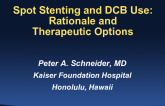 Spot Stenting and DCB Use: Rationale and Therapeutic Options