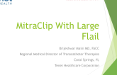 MitraClip Treatment of Very Tall/Wide Flails