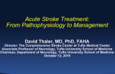KEYNOTE LECTURE: Acute Stroke Intervention  From Pathophysiology to Management
