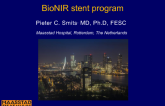 A New Durable-PolymerBased Cobalt Chromium Stent: Rationale for and Design Characteristics of the BioNIR Stent and Clinical Development Program