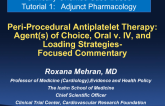 Periprocedural Antiplatelet Therapy: Agent(s) of Choice, Oral vs IV, and Loading Strategies  Focused Commentary