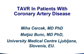 TAVR Complications: Case Reviews