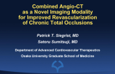 Combined Angio-CT as a Novel Imaging Modality for Improved Revascularization of Chronic Total Occlusions