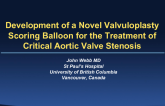 Percutaneous Aortic Valve Repair Technologies 2: CardioSculpt Aortic Valve Scoring System  Technological Concept and FIH Data