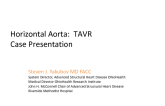 Extreme Horizontal Aorta and TAVR: Case Presentation