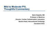 Mild-to-Moderate Paravalvular Aortic Regurgitation After TAVR: Thoughtful Commentary on the Case