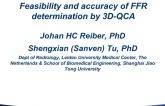 Feasibility and Accuracy of FFR Determination by 3D-QCA