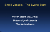 Case 8: Small Vessels - The Svelte Stent