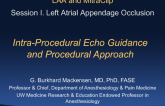 Intra-Procedural Echo Guidance and Procedural Approach