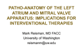 Patho-Anatomy of the Left Atrium and Mitral Valve Apparatus: Implications for Interventional Therapies