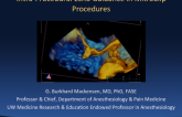 Intra-Procedural Echo Guidance in MitraClip Procedures