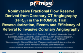PROMISE FFR-CT: Evaluation of FFR-CT in Patients Undergoing Computed Tomographic Angiography for Evaluation of Suspected Coronary Artery Disease