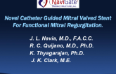 A Novel Transcatheter Mitral Valved Stent for Secondary MR