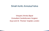 Small Aortic Annulus/Valve (Native or Bioprosthetic) and TAVR: Thoughtful Commentary on the Case