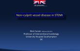 UK Presents: Nonculprit Vessel Disease in STEMI