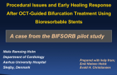 Case 7: Procedural Issues and Early Healing Response After OCT-Guided Bifurcation Treatment Using BRS