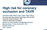 High Risk for Coronary Occlusion and TAVR: Case Presentation